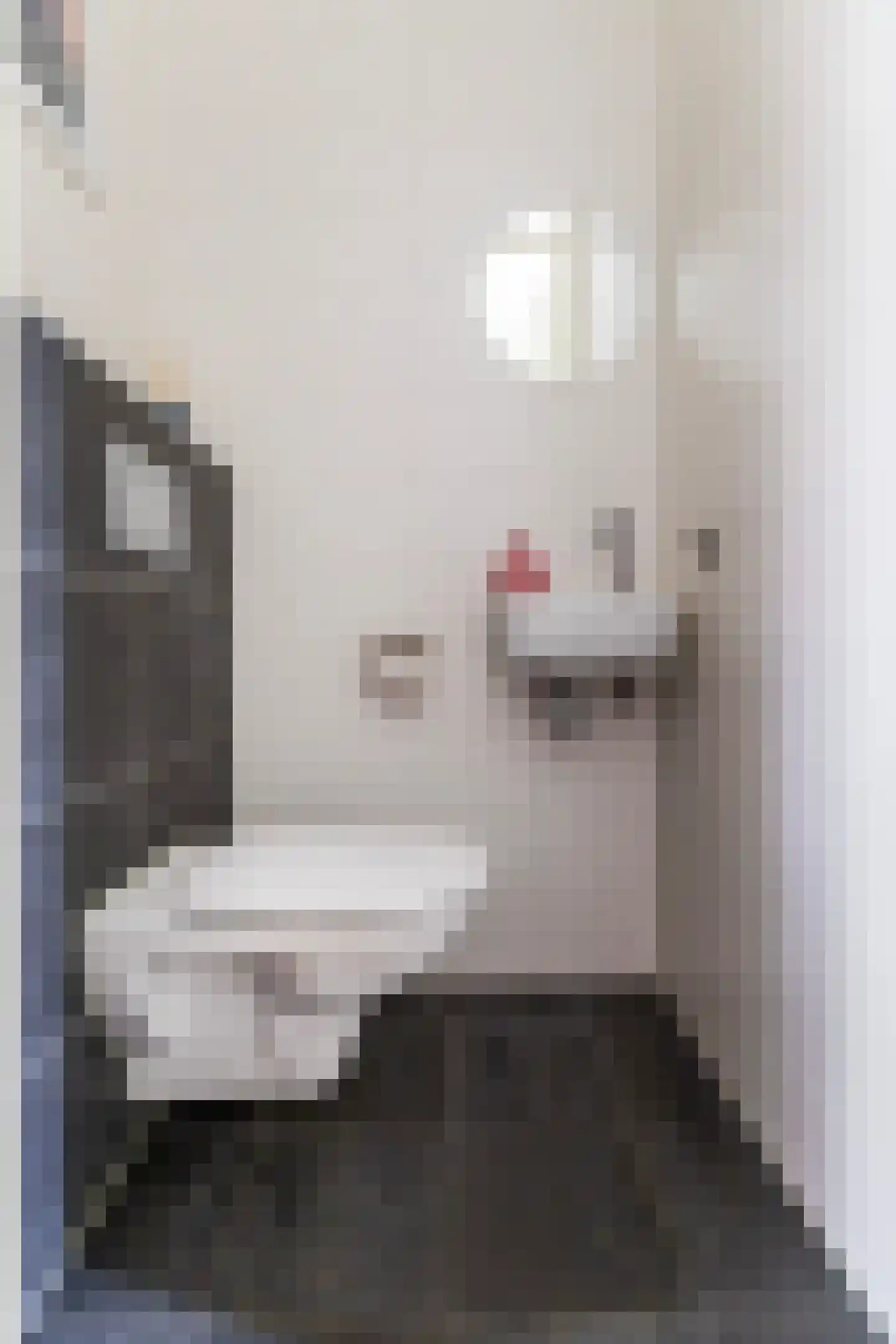 Mambohof 15 Apeldoorn thumbnail 6