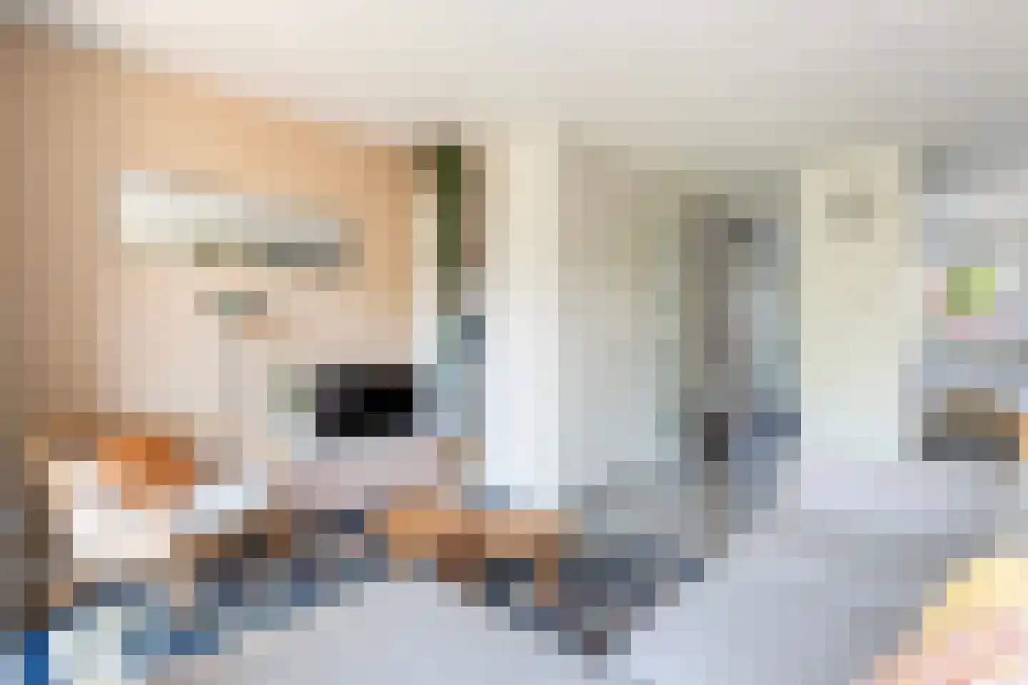 Mambohof 15 Apeldoorn thumbnail 7