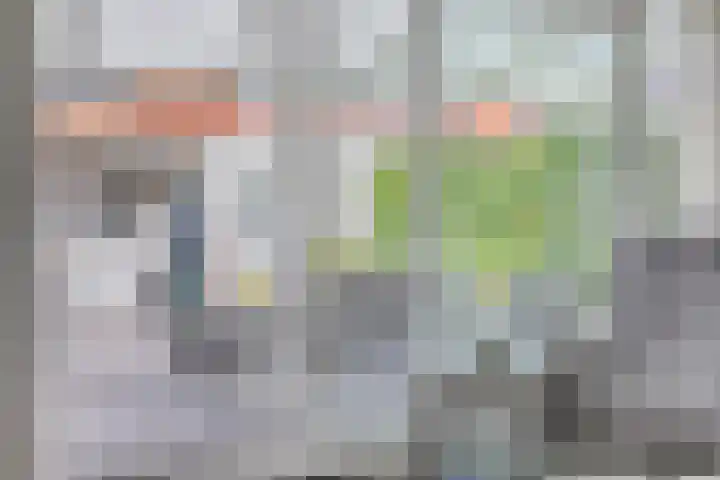 Mambohof 27 Apeldoorn thumbnail 12