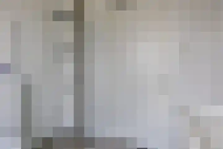 Mambohof 27 Apeldoorn thumbnail 18