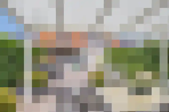 Mambohof 27 Apeldoorn thumbnail 22