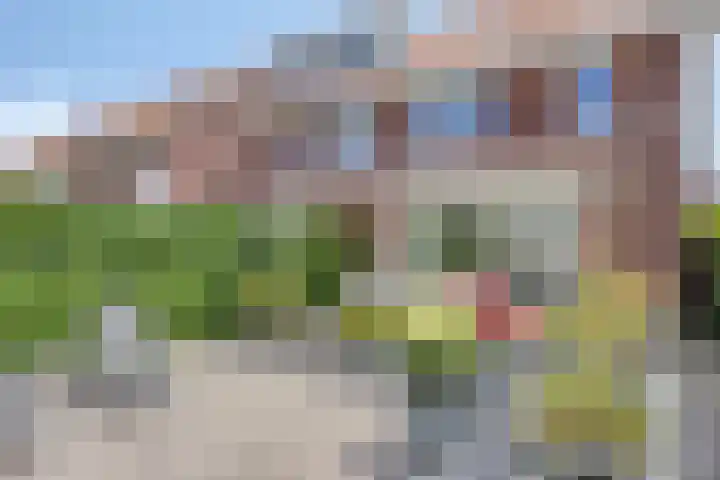 Mambohof 27 Apeldoorn thumbnail 26