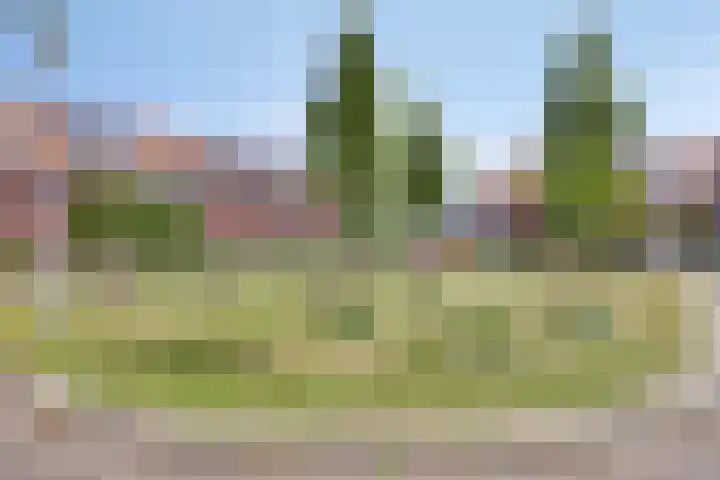 Mambohof 27 Apeldoorn thumbnail 29