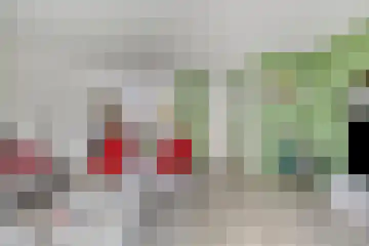 Mambohof 27 Apeldoorn thumbnail 9
