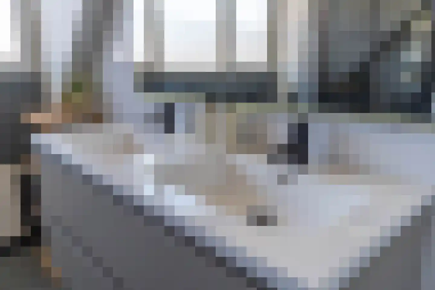 Mambostraat 116 Venray thumbnail 38