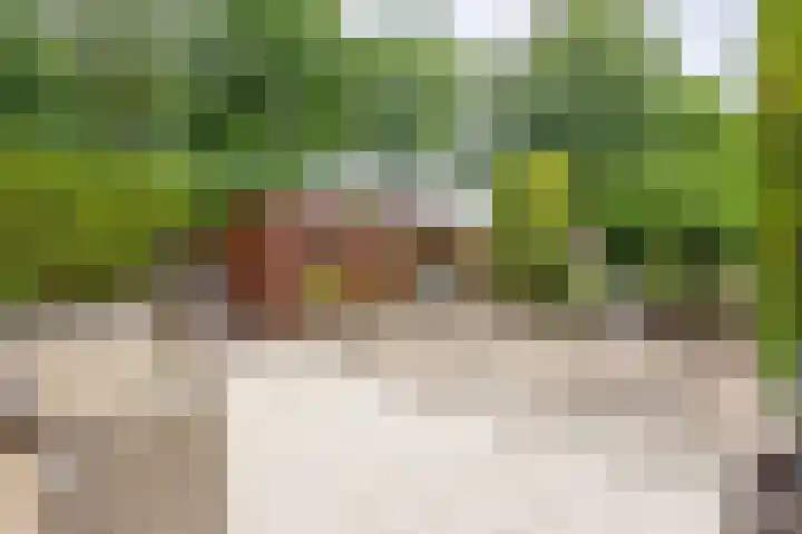 Mambostraat 28 Venray thumbnail 4