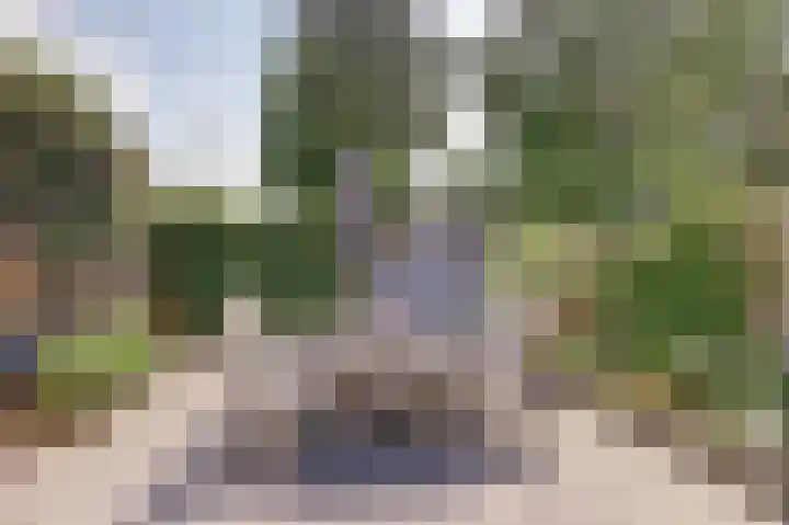 Mambostraat 35 Venray thumbnail 26