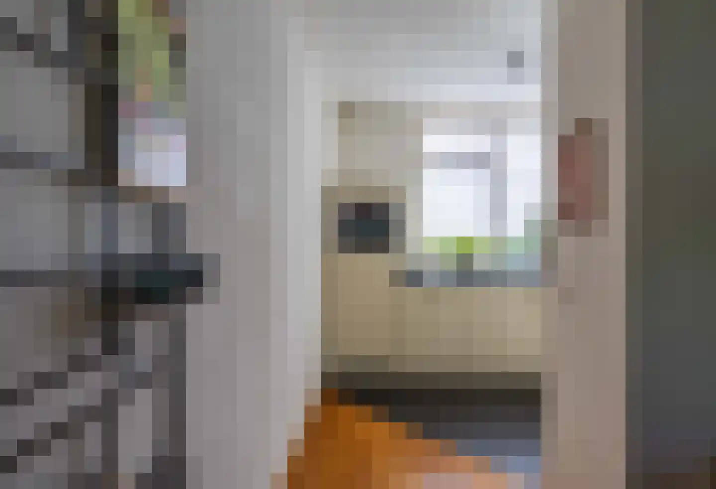 Mambostraat 76 Venray thumbnail 16