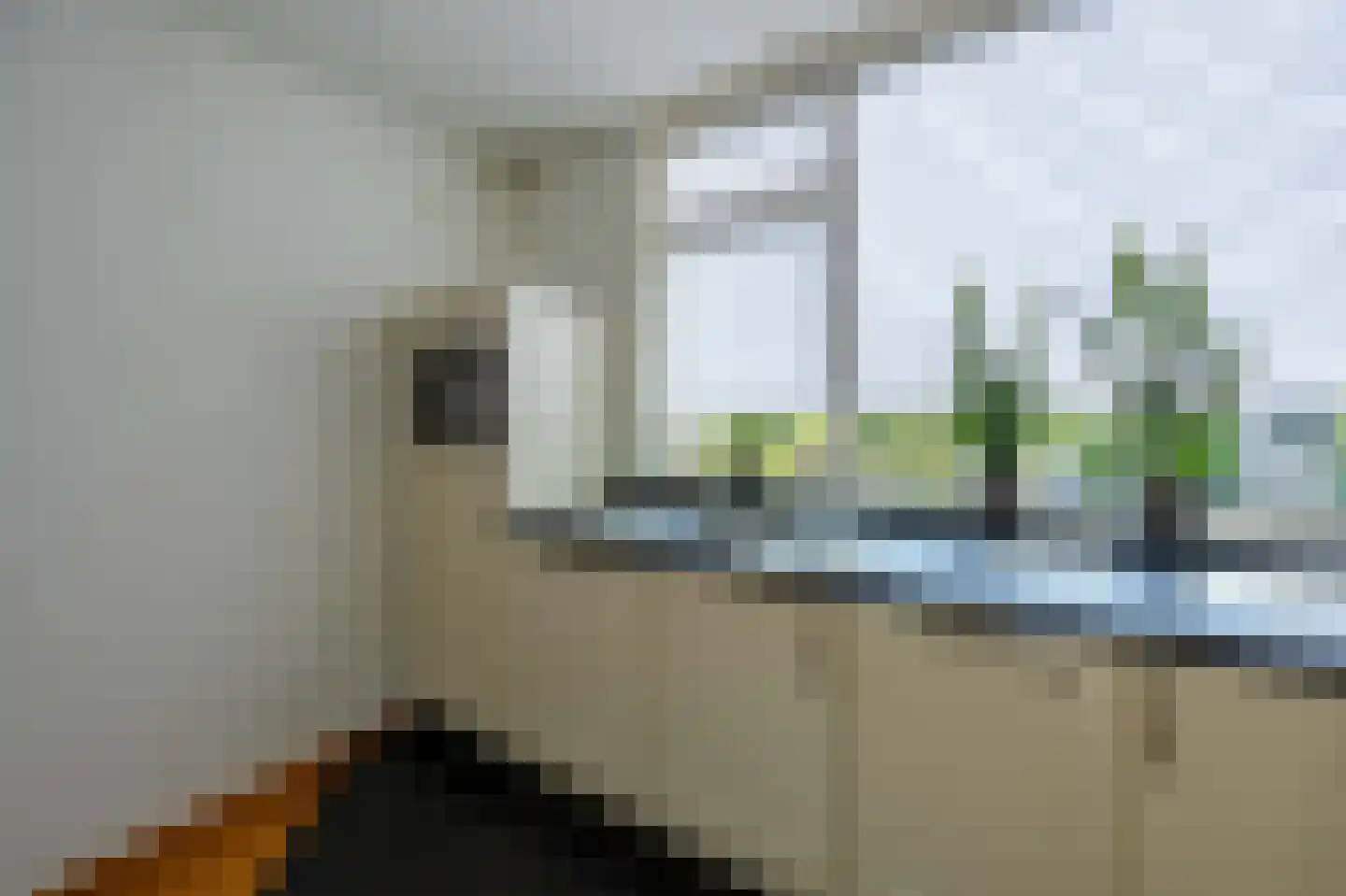 Mambostraat 76 Venray thumbnail 20