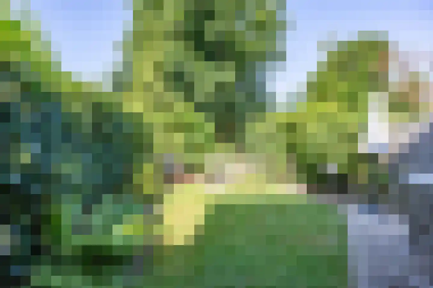 Mambostraat 76 Venray thumbnail 32