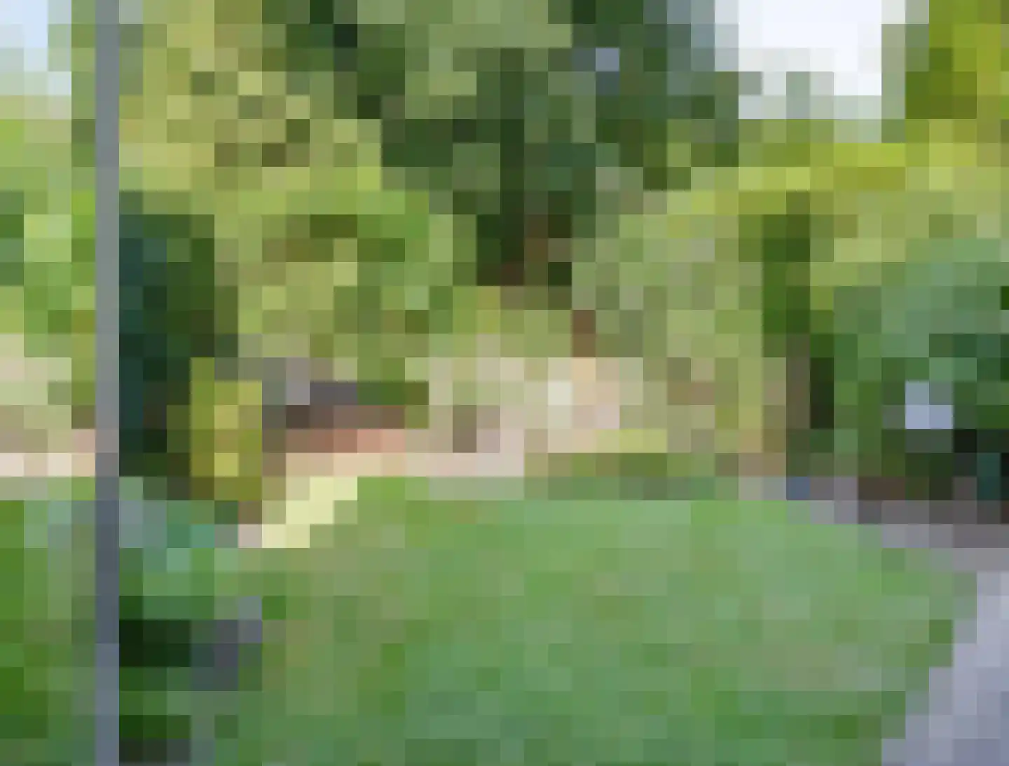 Mambostraat 76 Venray thumbnail 33