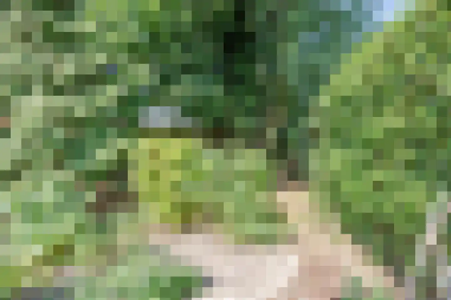 Mambostraat 76 Venray thumbnail 38