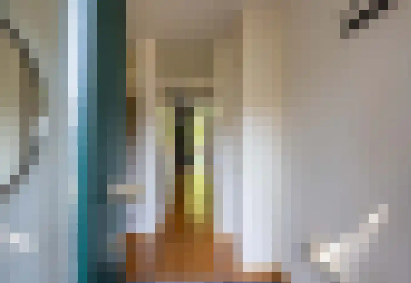 Mambostraat 76 Venray thumbnail 6