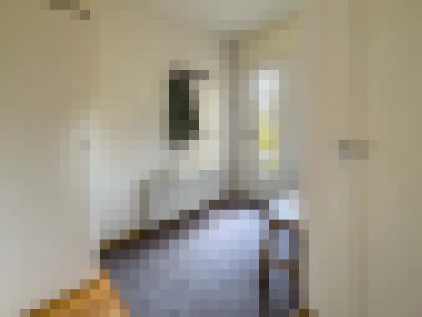 Mambostraat 76 Venray thumbnail 7