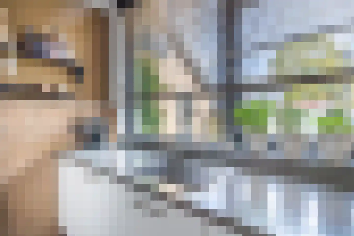 Mambostraat 78 Venray thumbnail 19