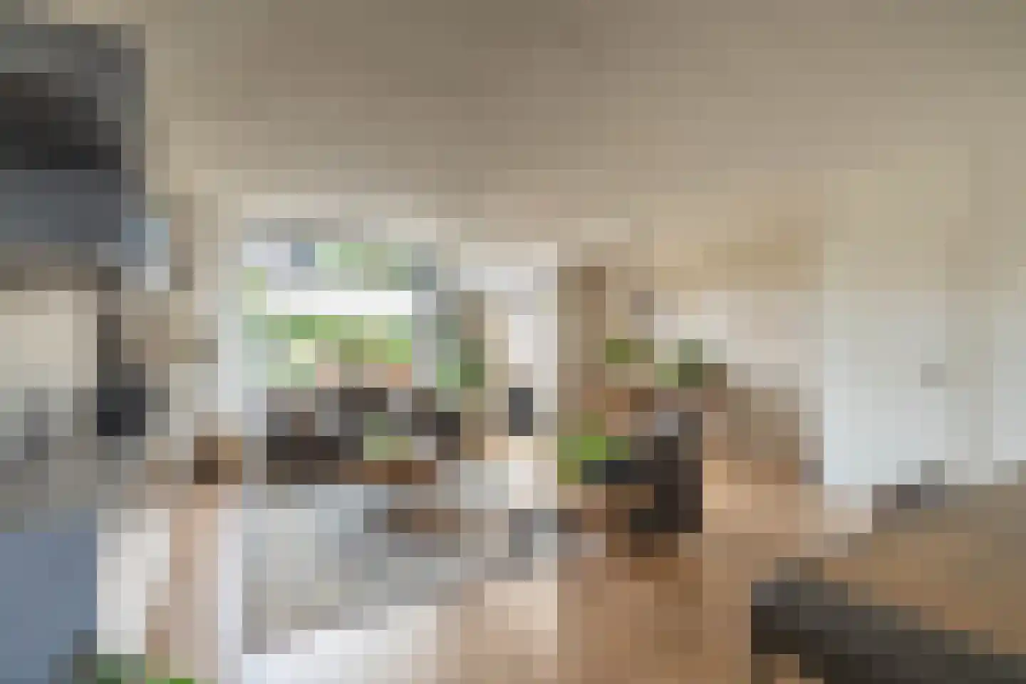 Mambostraat 78 Venray thumbnail 20