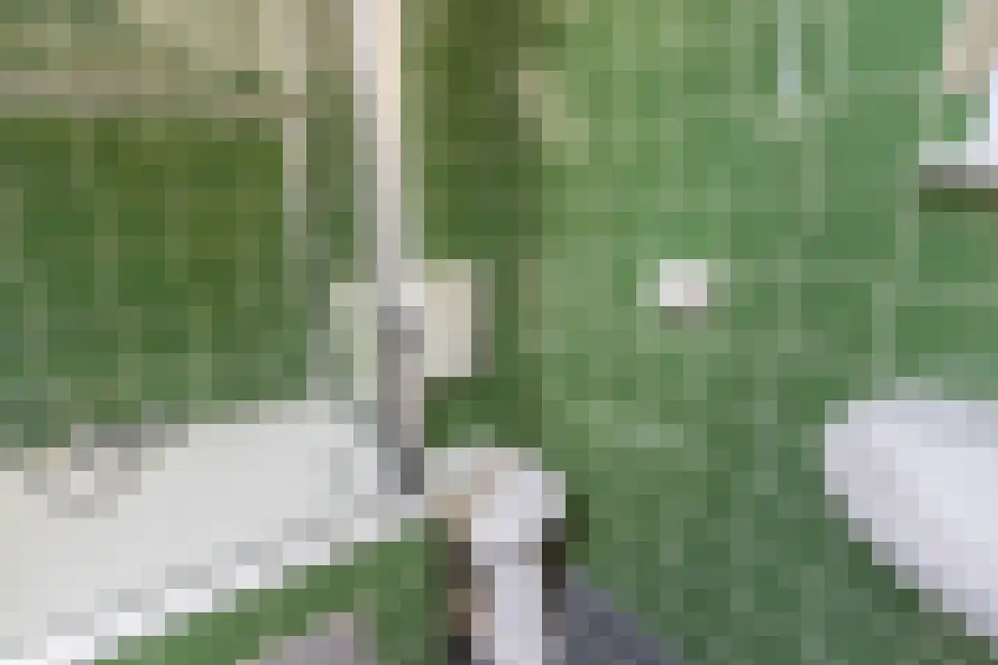 Mambostraat 78 Venray thumbnail 29