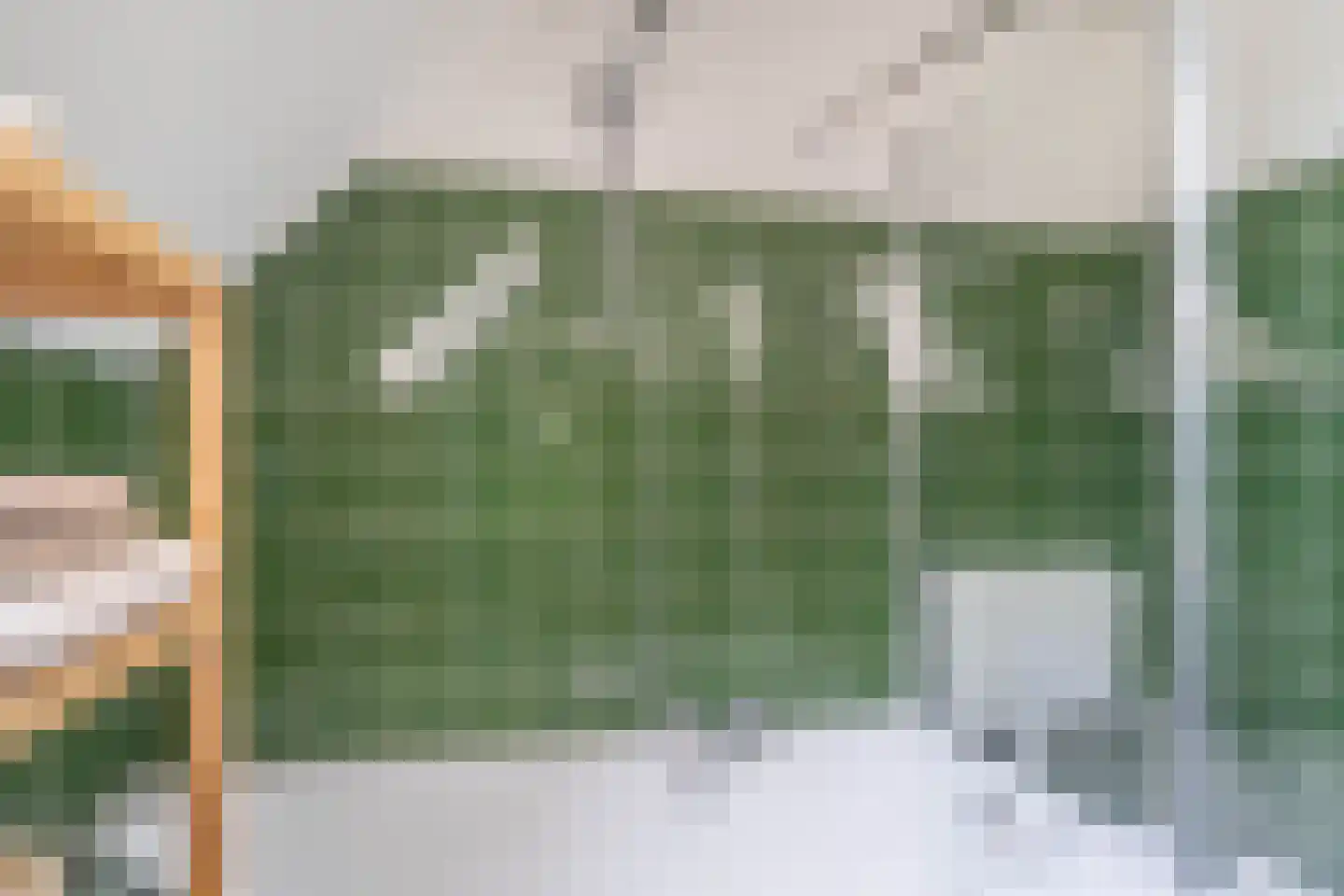 Mambostraat 78 Venray thumbnail 30
