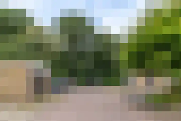 Mambostraat 80 Venray thumbnail 20