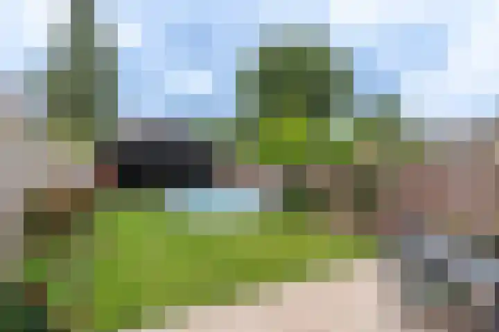 Mambostraat 80 Venray thumbnail 9