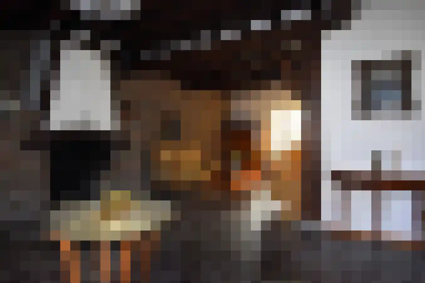 Mamelis 35 Lemiers thumbnail 11