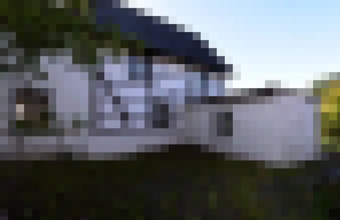 Mamelis 35 Lemiers thumbnail 4