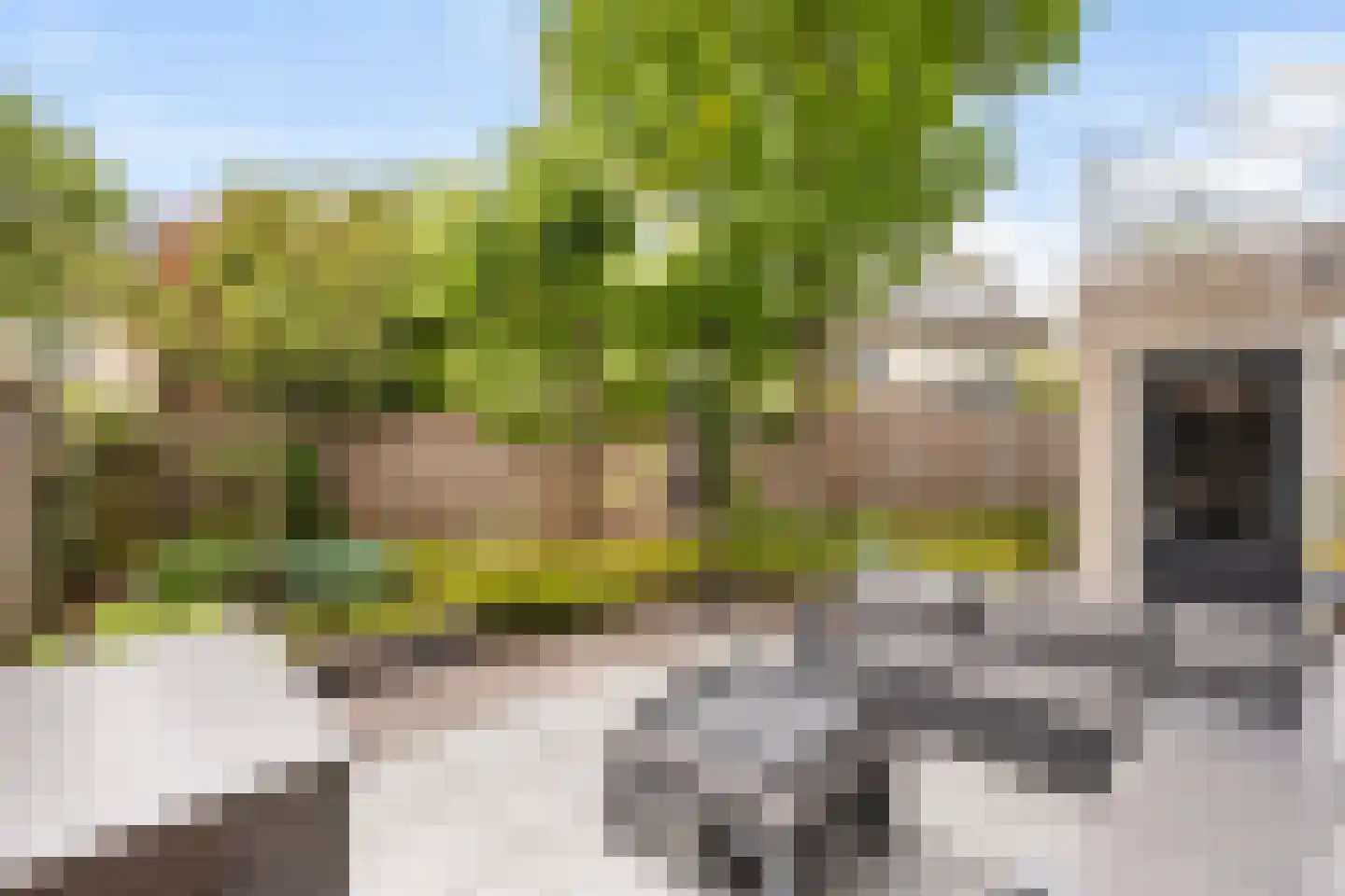 Mammoetveld 15 Zwolle thumbnail 10