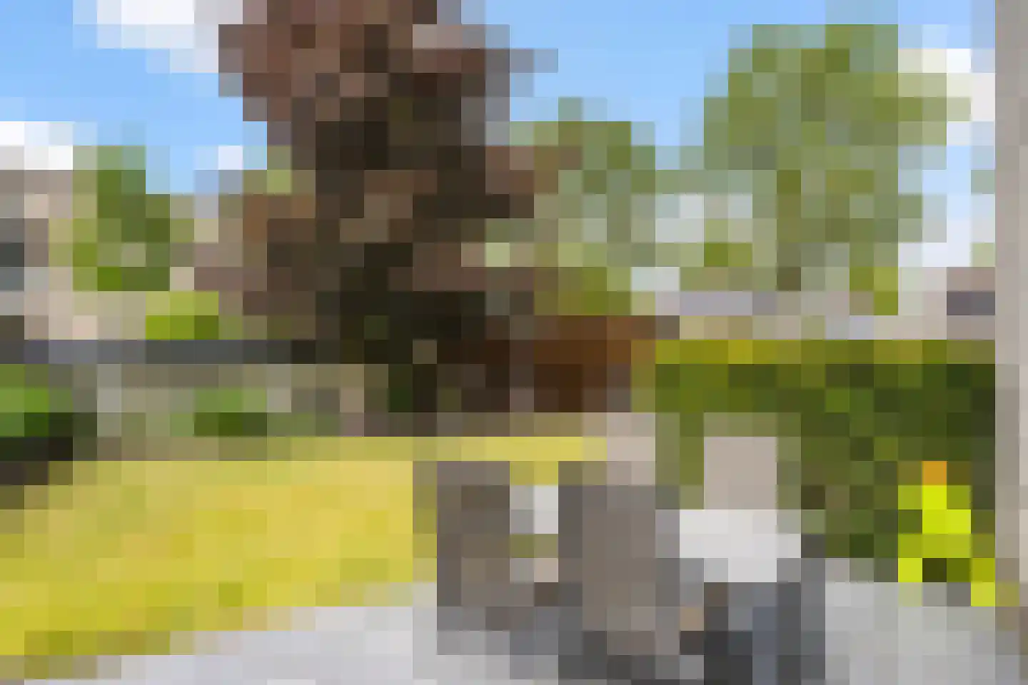 Mammoetveld 15 Zwolle thumbnail 11