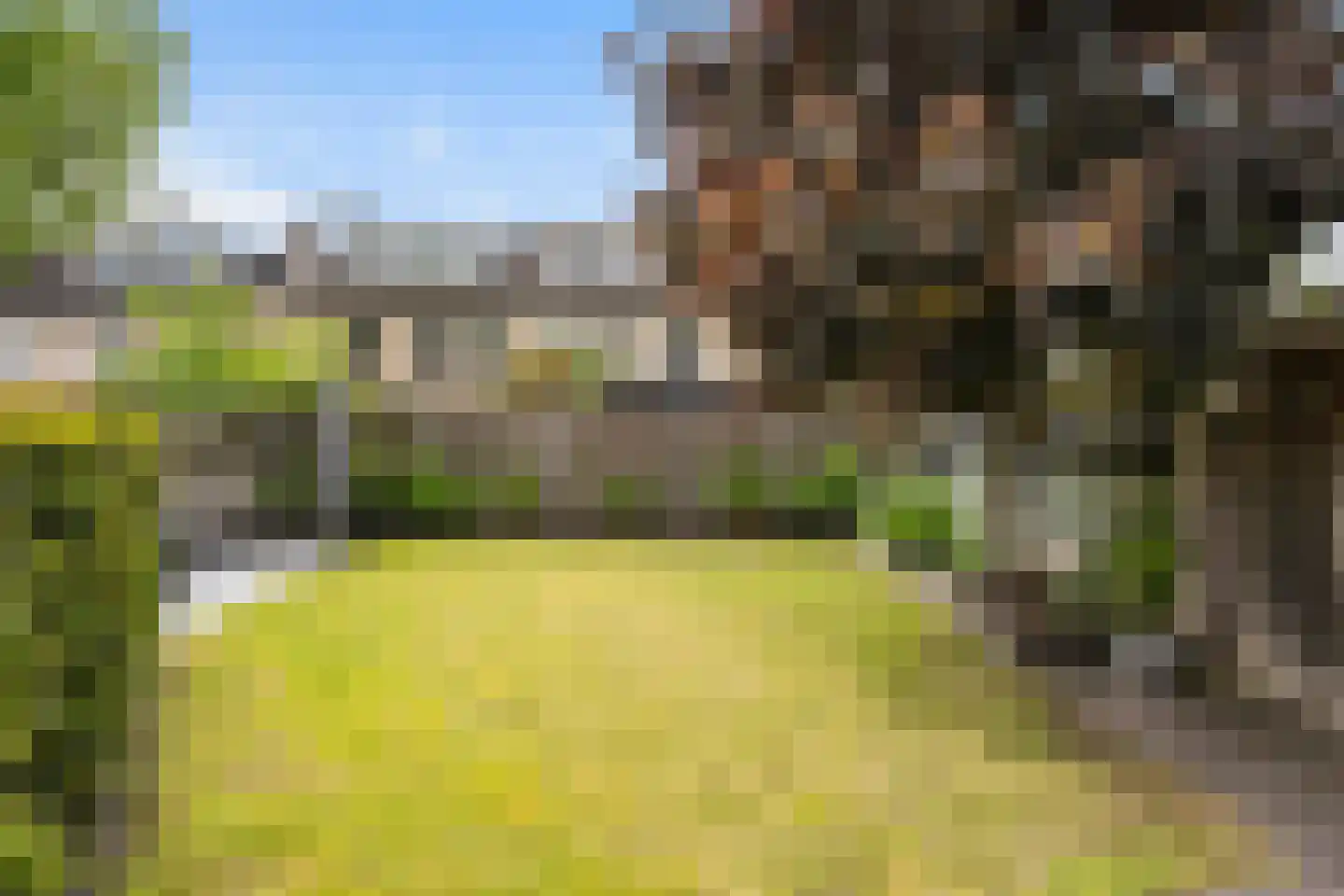 Mammoetveld 15 Zwolle thumbnail 12