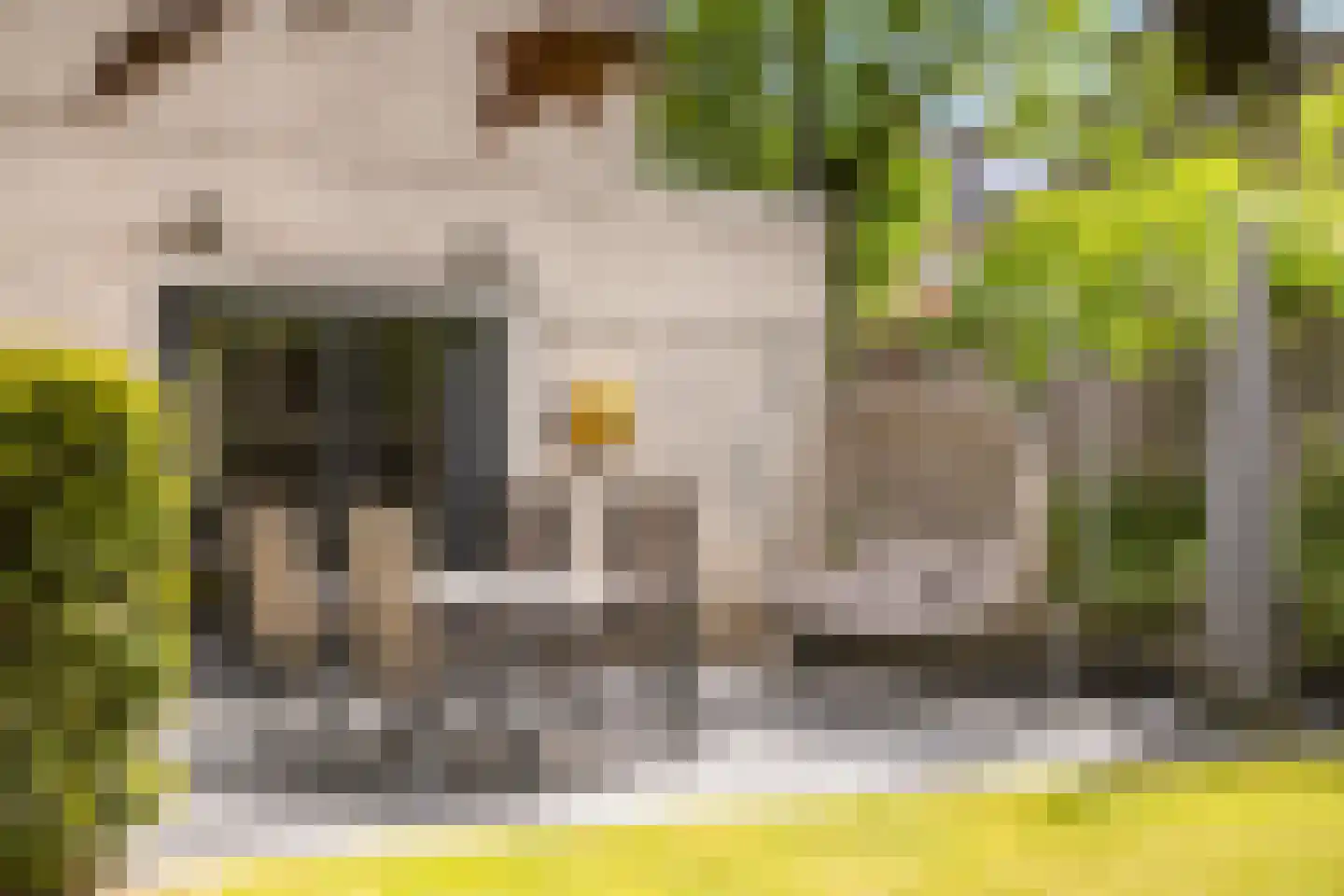 Mammoetveld 15 Zwolle thumbnail 13