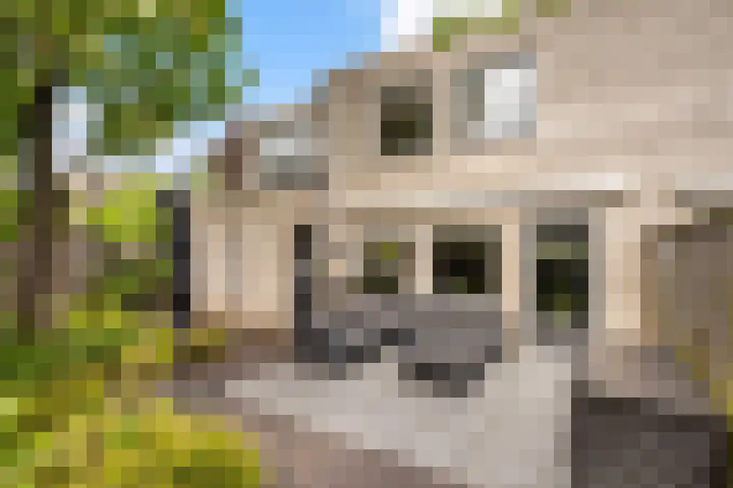Mammoetveld 15 Zwolle thumbnail 14