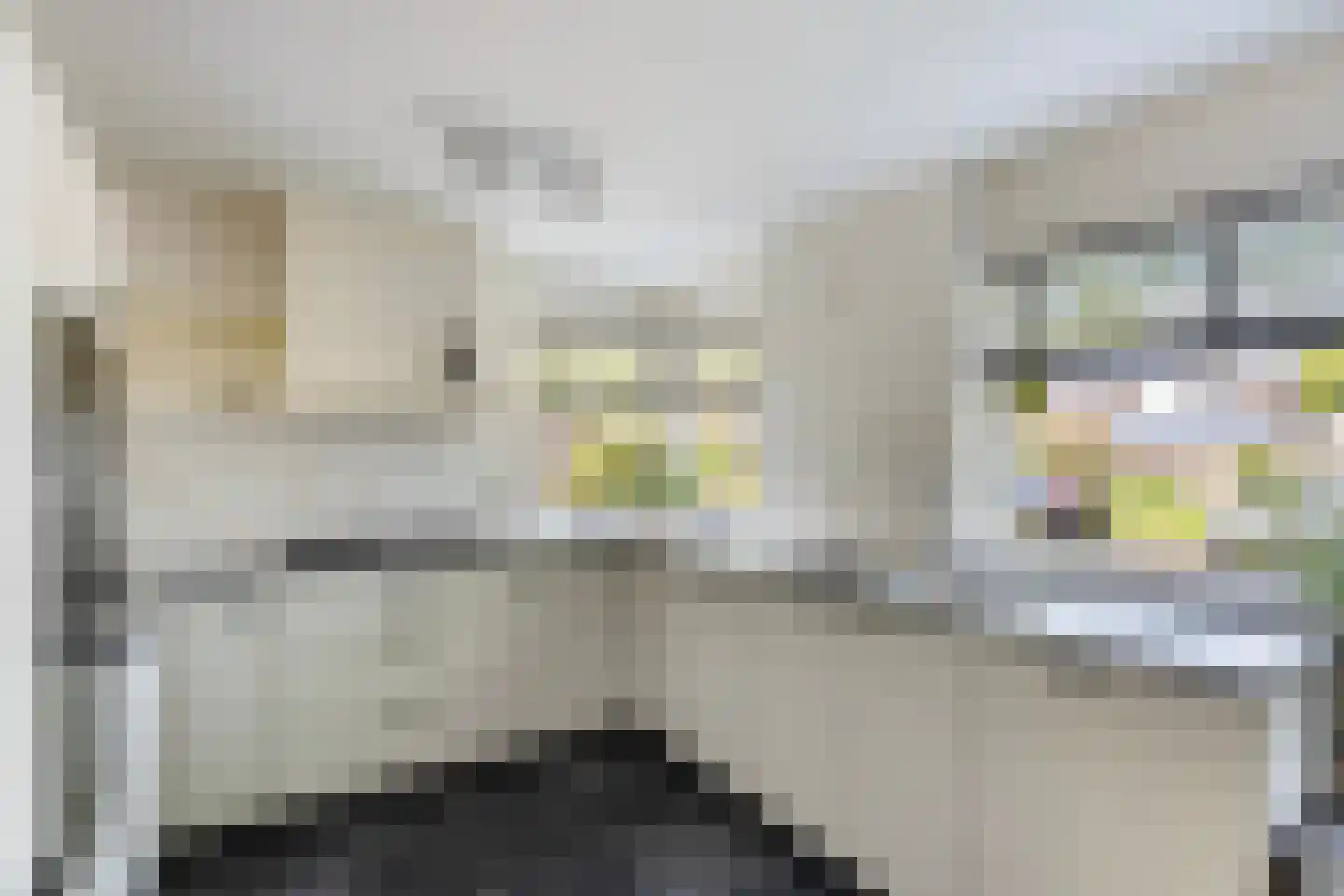 Mammoetveld 15 Zwolle thumbnail 15