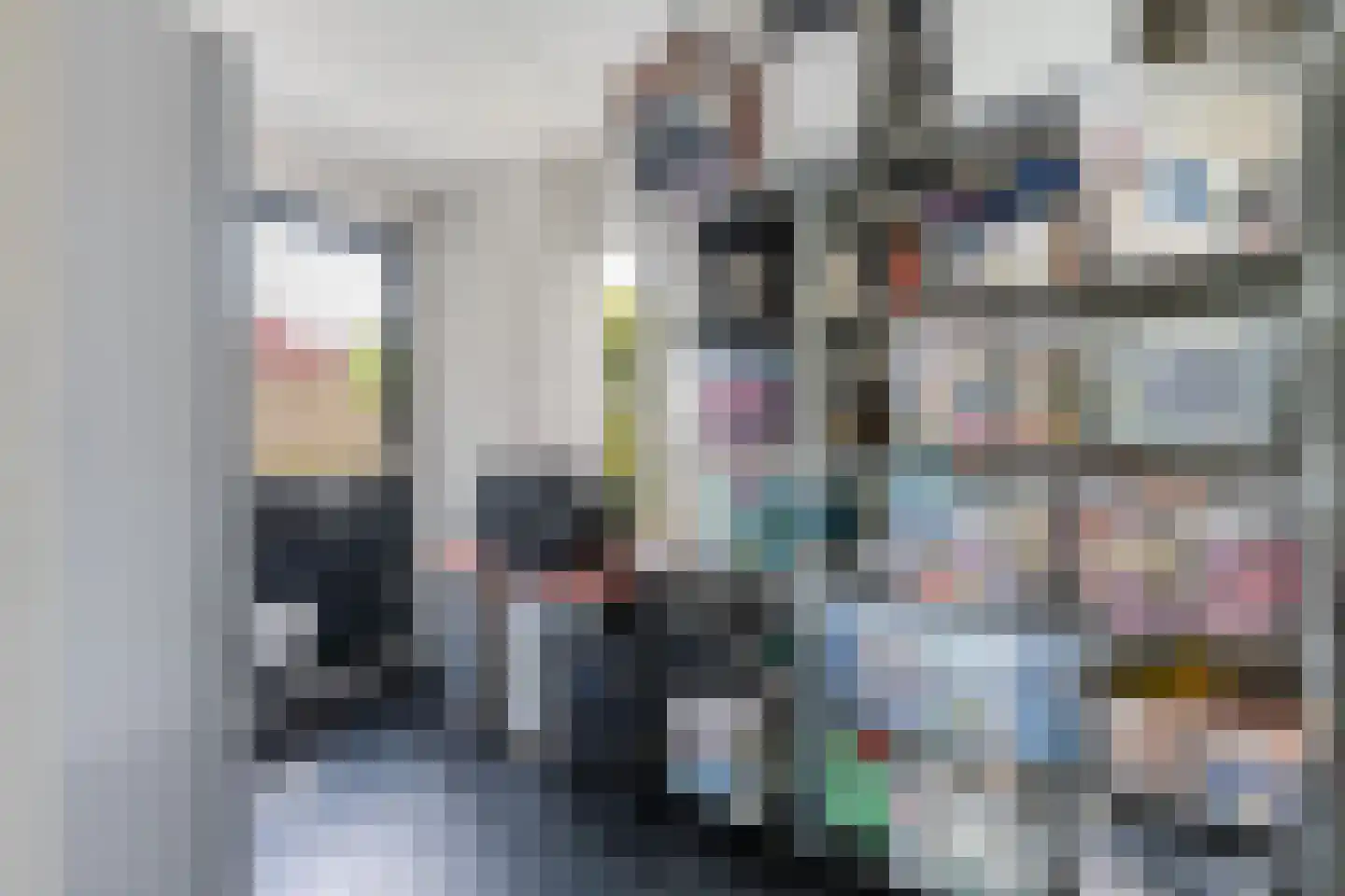 Mammoetveld 15 Zwolle thumbnail 16
