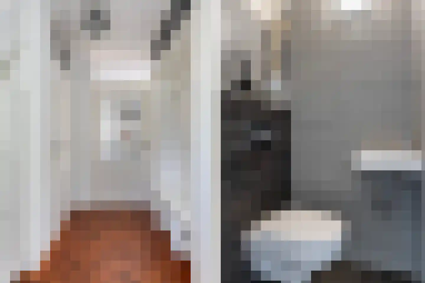 Mammoetveld 15 Zwolle thumbnail 17