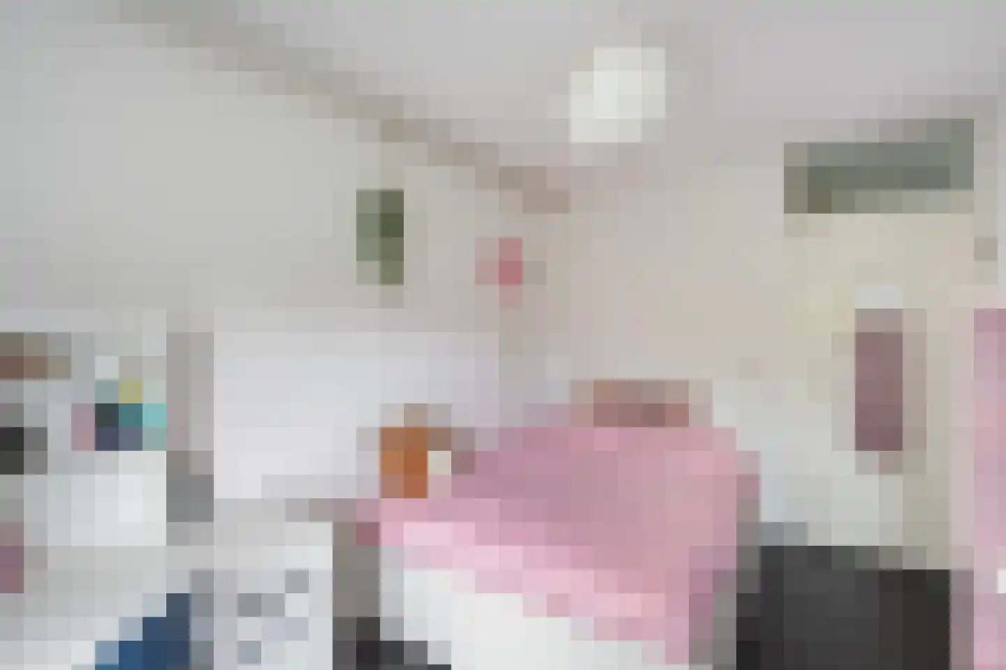 Mammoetveld 15 Zwolle thumbnail 20