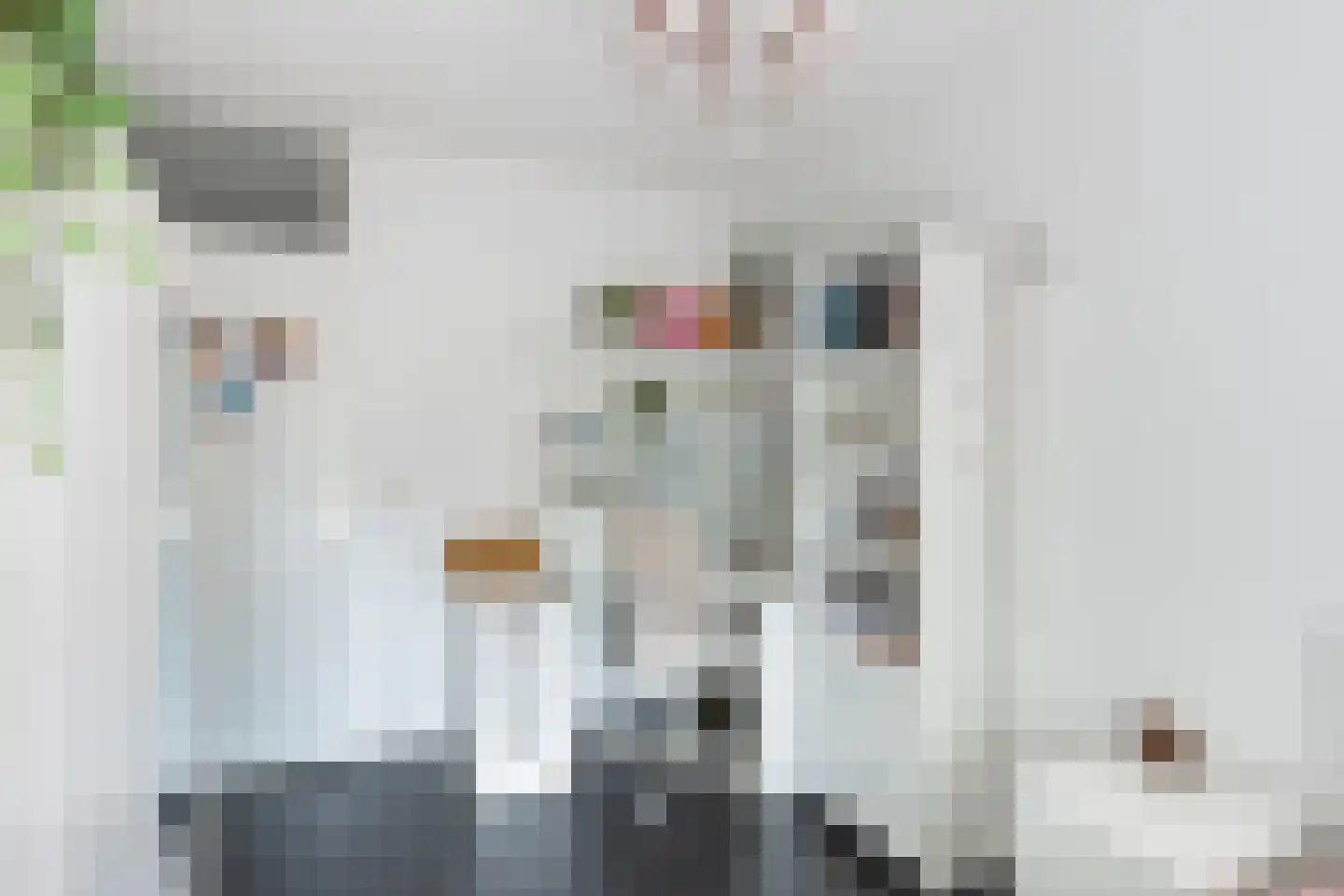 Mammoetveld 15 Zwolle thumbnail 22