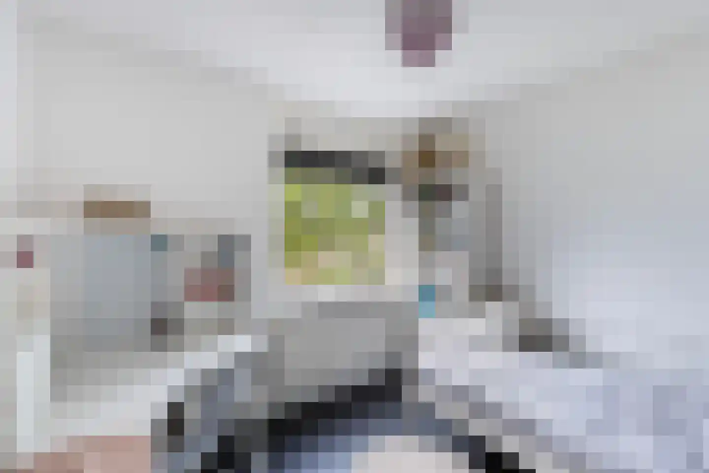 Mammoetveld 15 Zwolle thumbnail 23