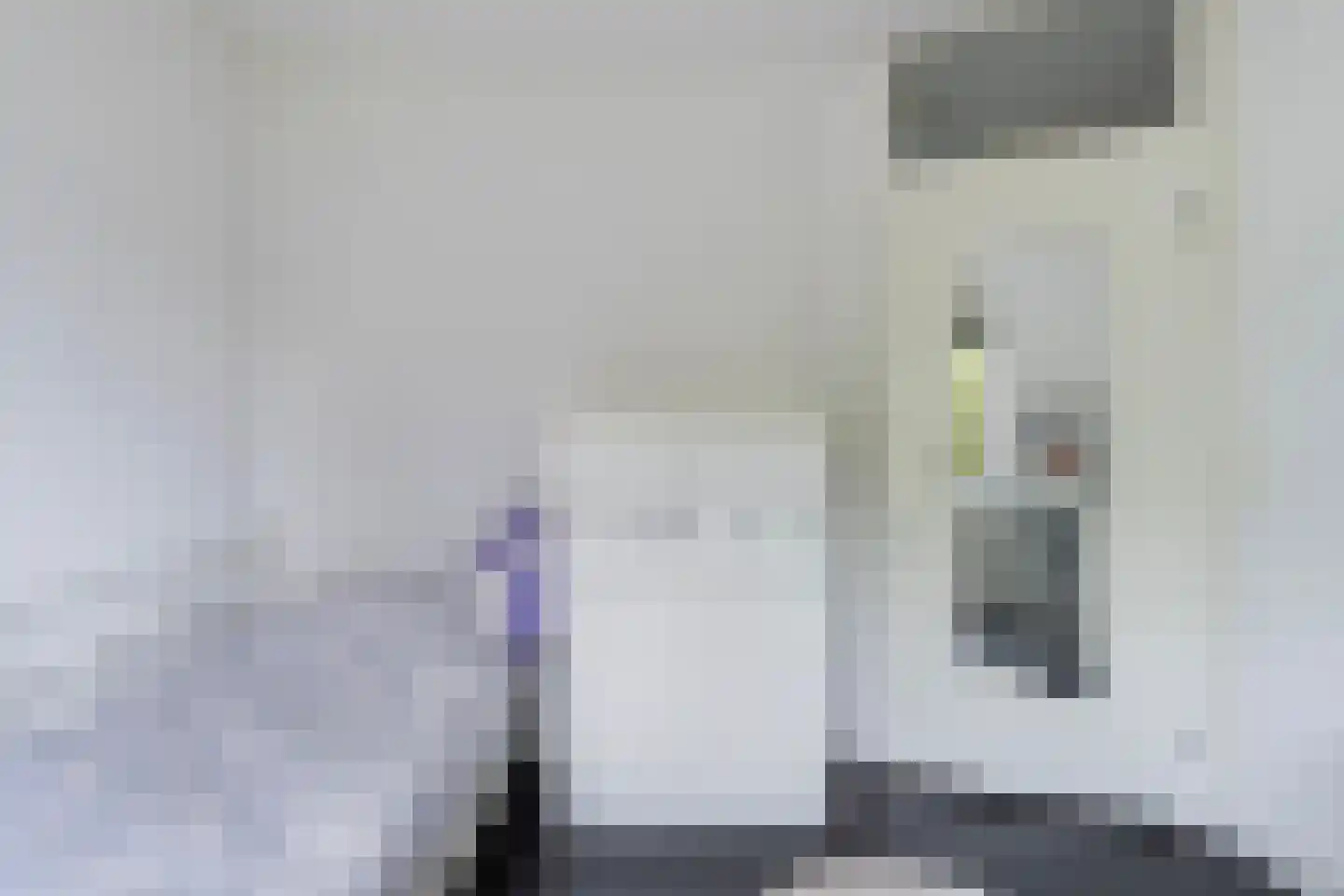 Mammoetveld 15 Zwolle thumbnail 24