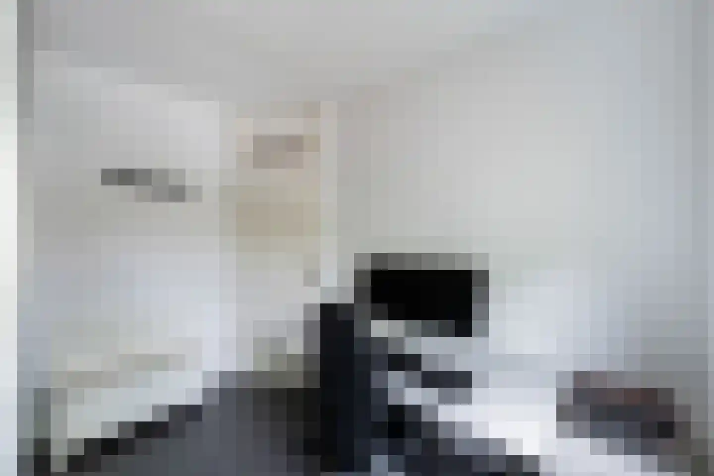 Mammoetveld 15 Zwolle thumbnail 25