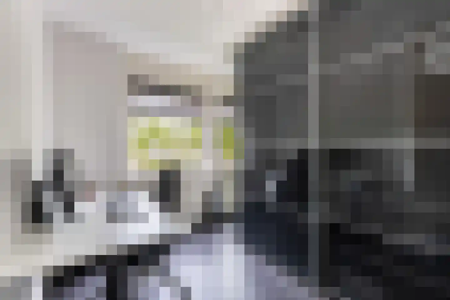 Mammoetveld 15 Zwolle thumbnail 26