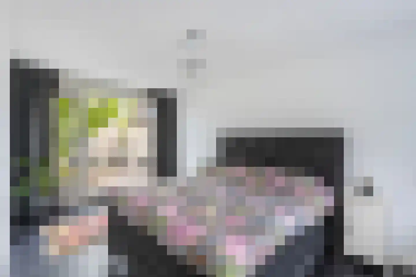 Mammoetveld 15 Zwolle thumbnail 27
