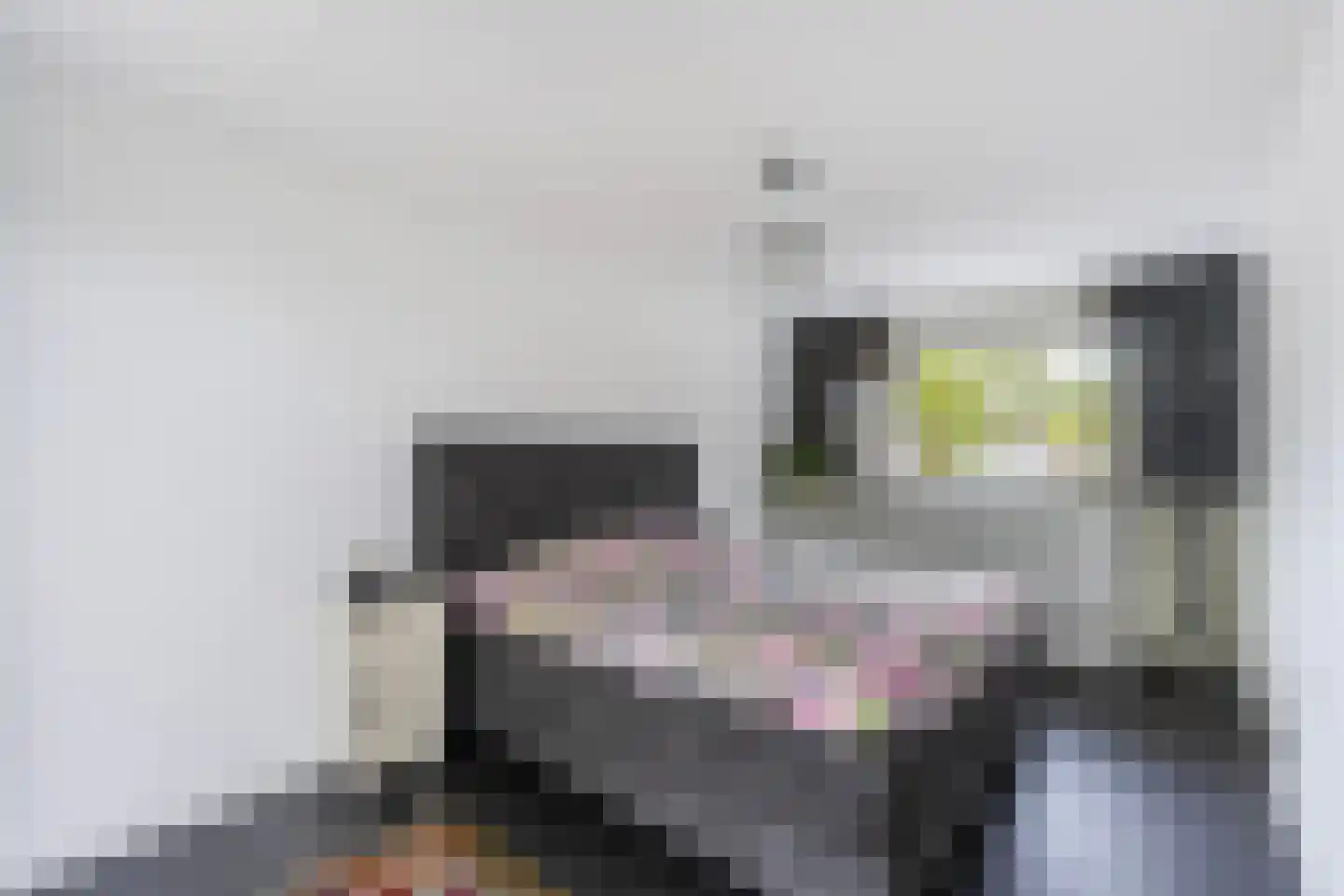 Mammoetveld 15 Zwolle thumbnail 28