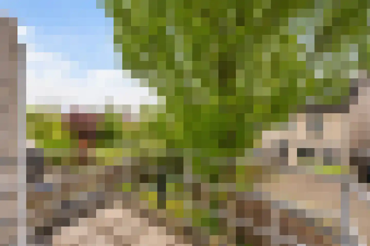 Mammoetveld 15 Zwolle thumbnail 29