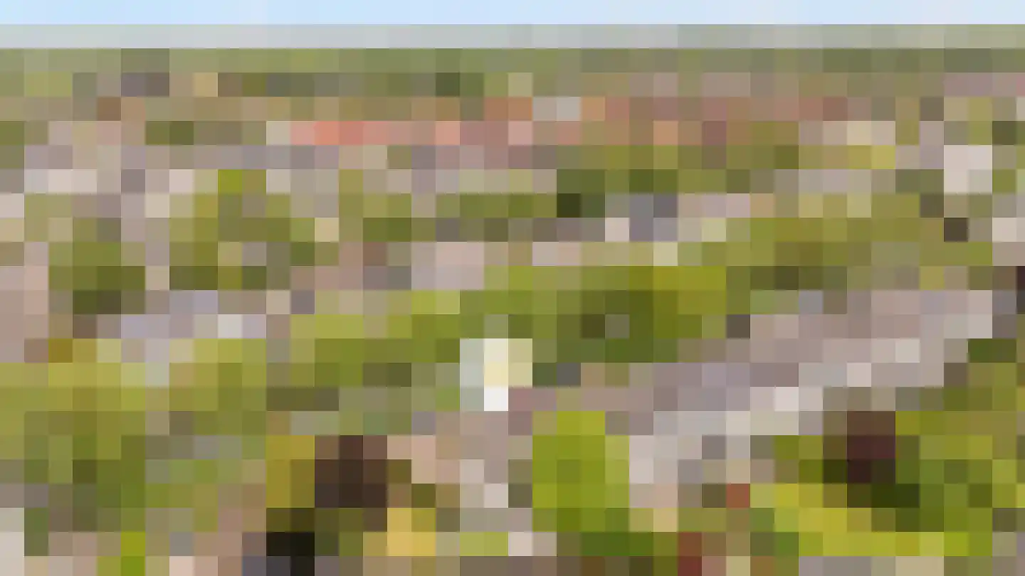 Mammoetveld 15 Zwolle thumbnail 32