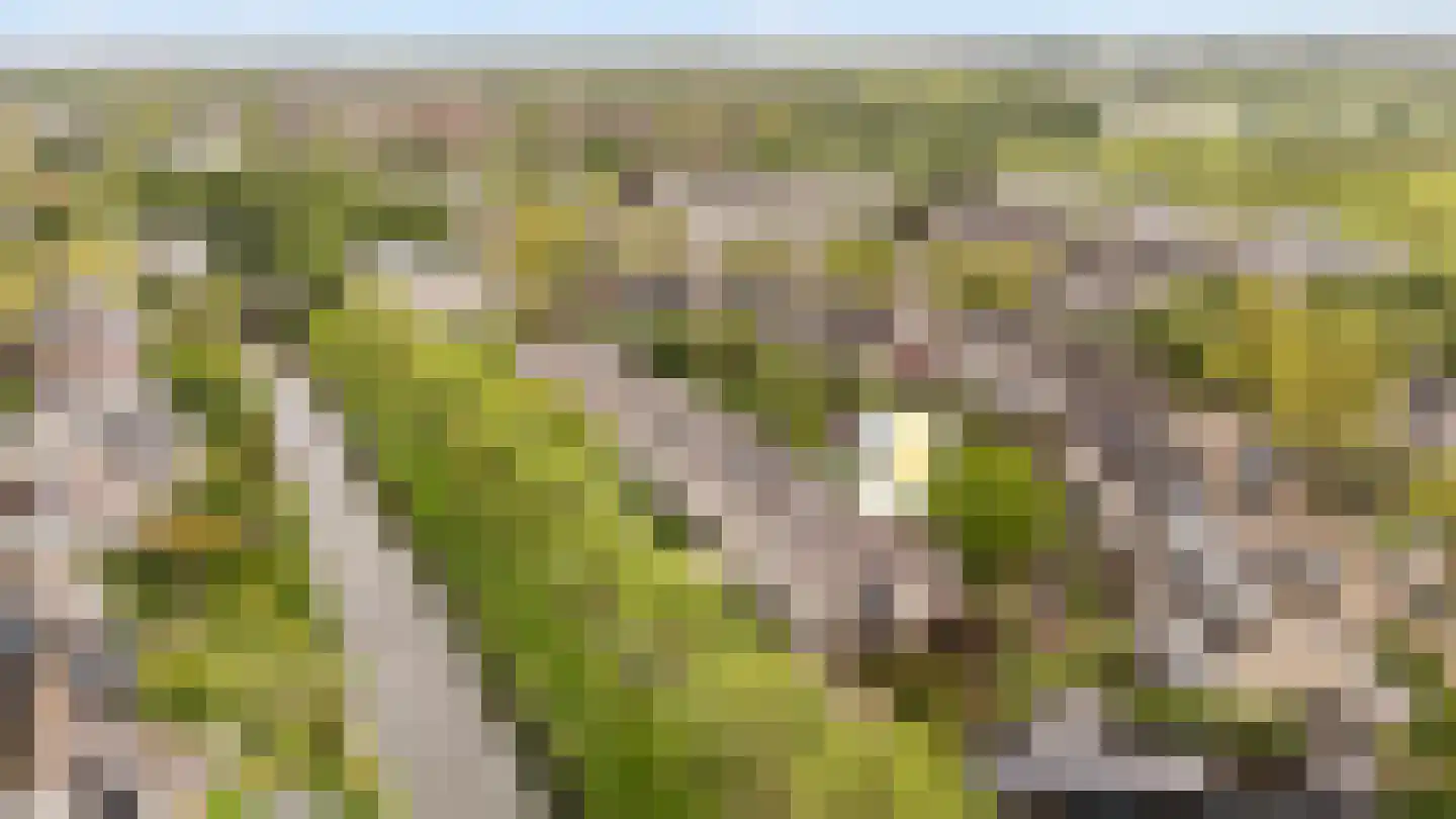 Mammoetveld 15 Zwolle thumbnail 33