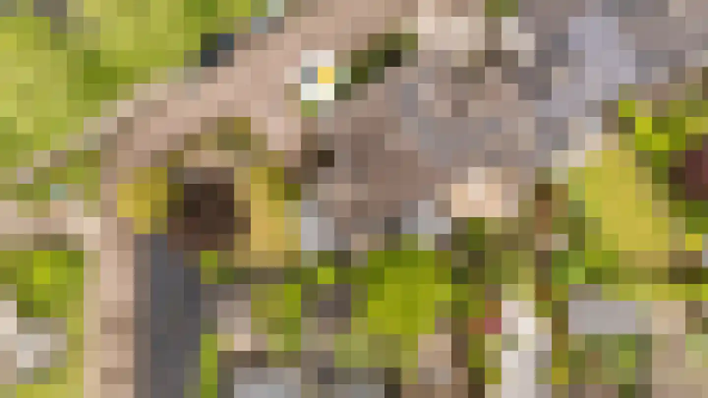 Mammoetveld 15 Zwolle thumbnail 34