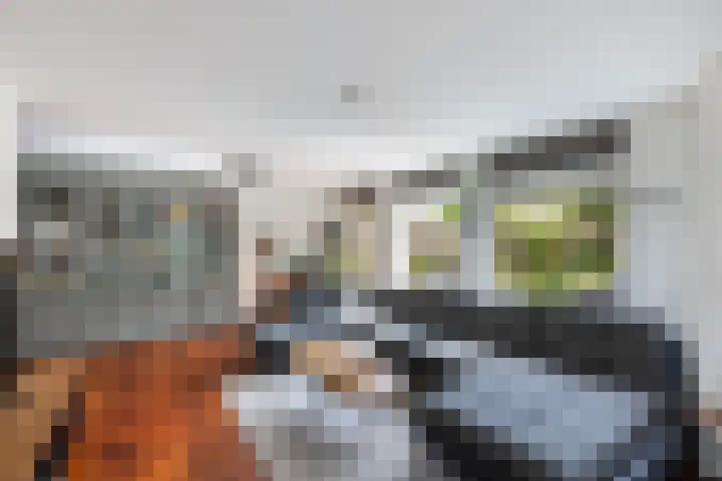 Mammoetveld 15 Zwolle thumbnail 6