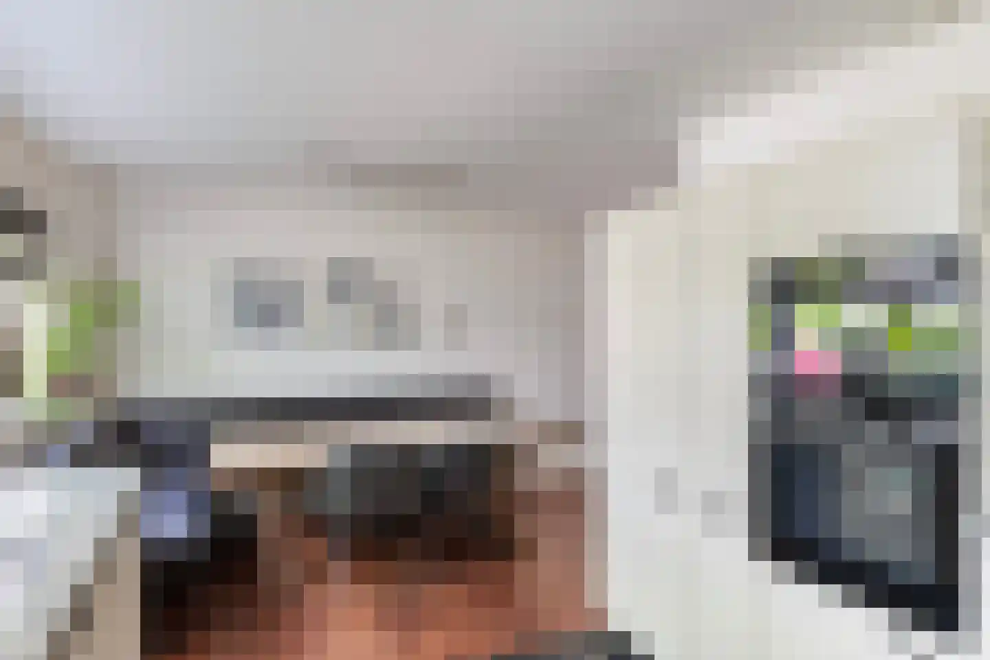 Mammoetveld 15 Zwolle thumbnail 8
