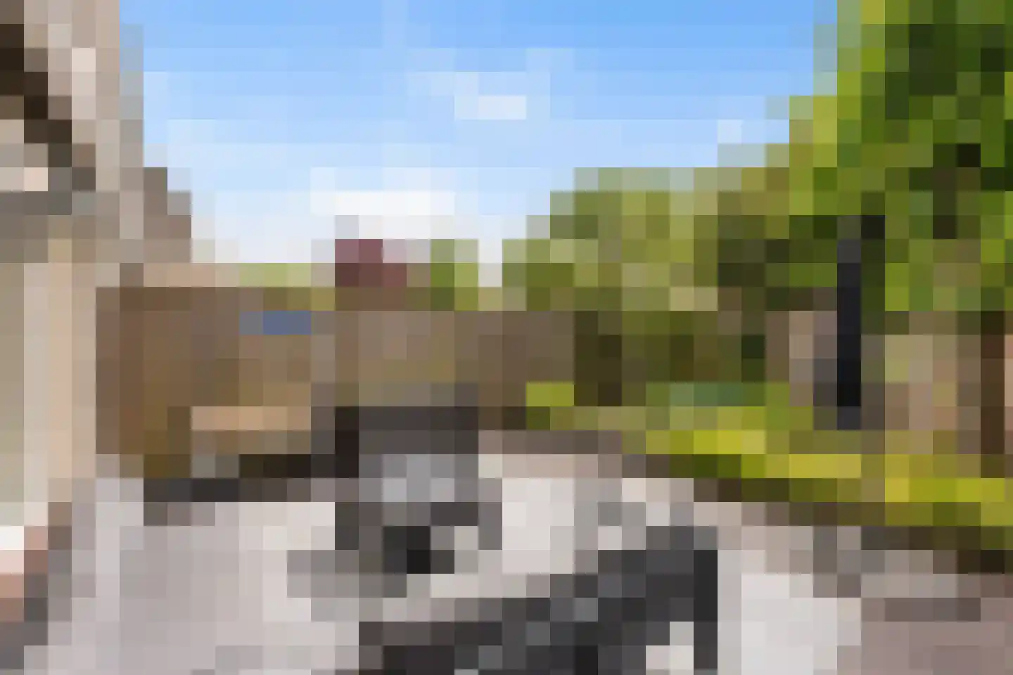 Mammoetveld 15 Zwolle thumbnail 9