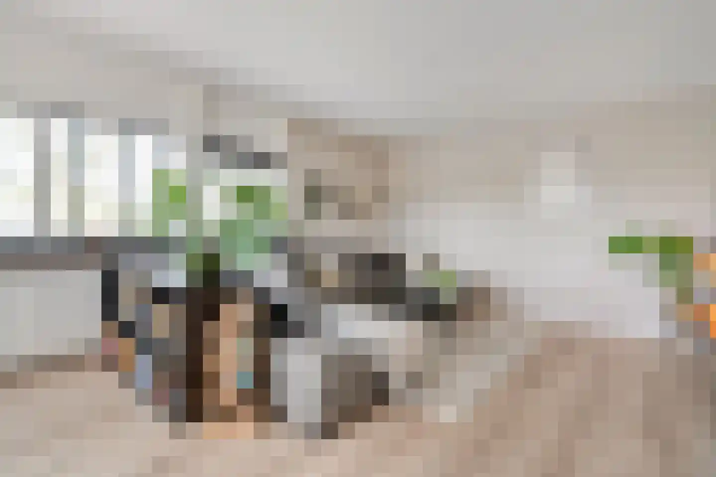 Mammoetveld 30 Zwolle thumbnail 12